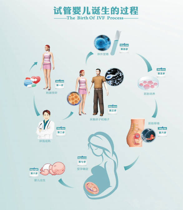 三代试管婴儿技术流程及对应收费标准解读