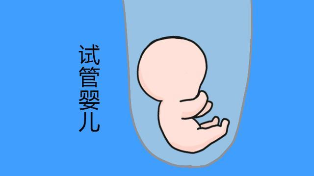 三甲医院有卵子提供吗